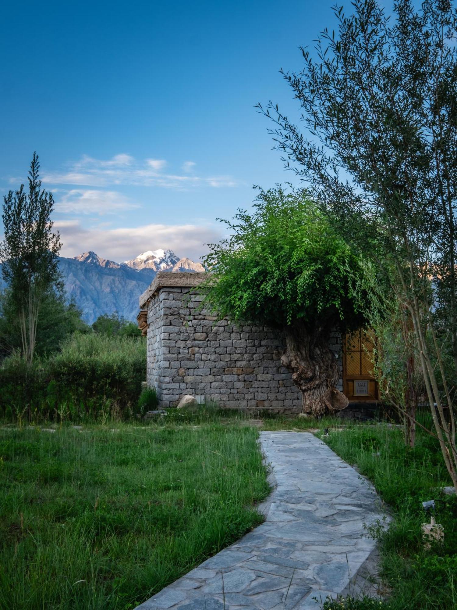 Готель Lchang Nang Retreat-The House Of Trees-Nubra Valley Sumur Екстер'єр фото